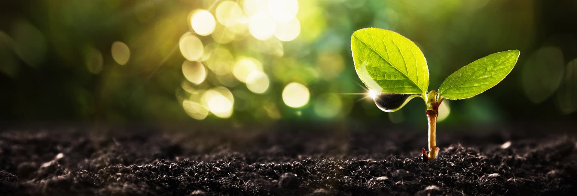 Contacte con Ponteclima y descubra los beneficios de esta instalación